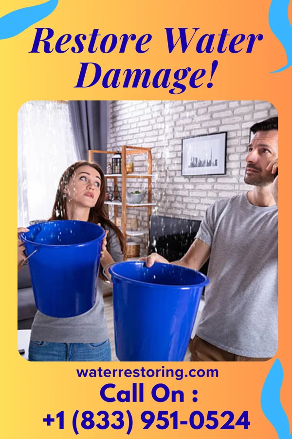 water restoration Western Property Restoration Professionals Luray