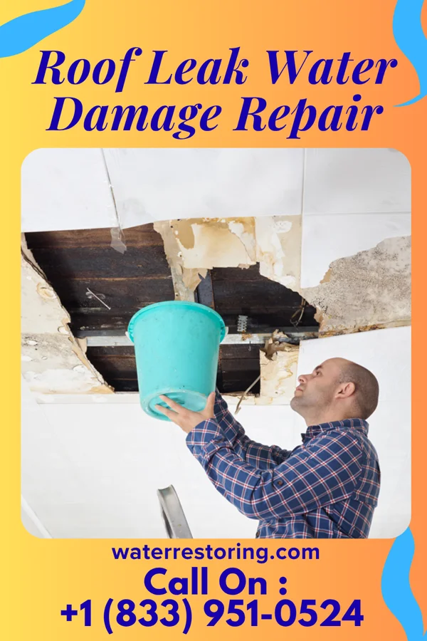 Roof Leak Water Damage Repair in Luray, SC